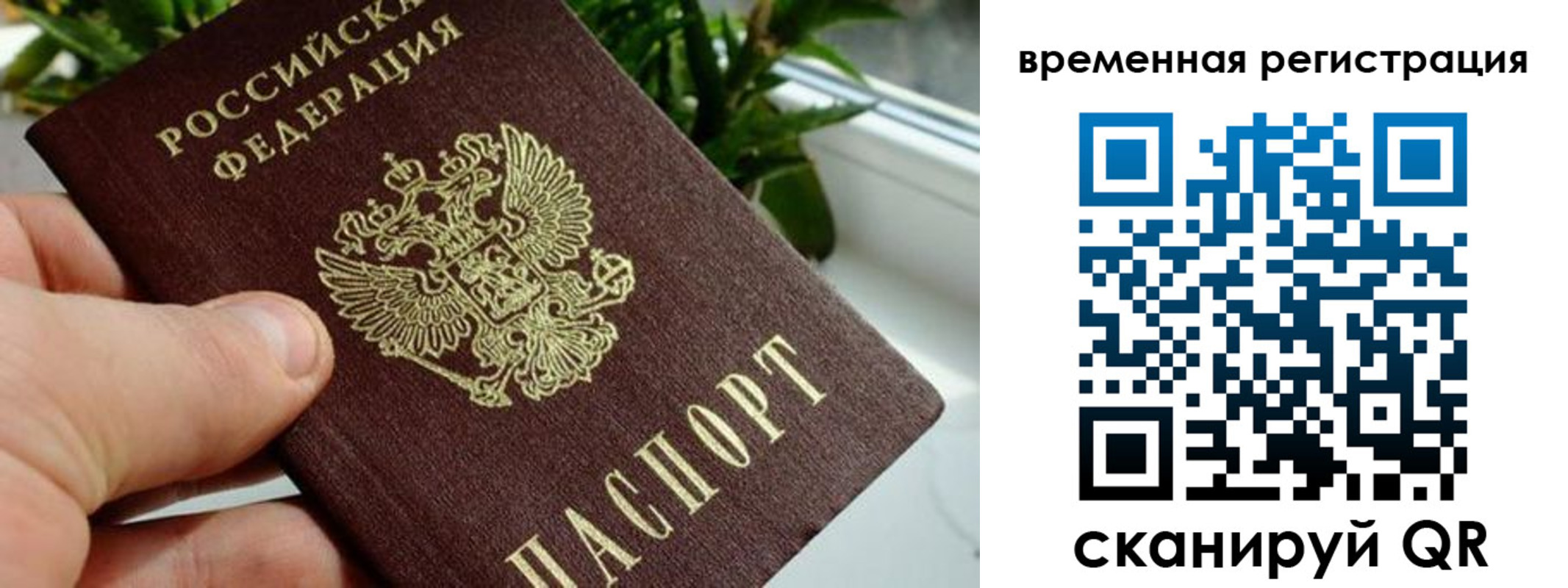 прописка поиск в Коми